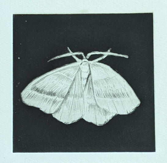 Flight IV, copper plate etching