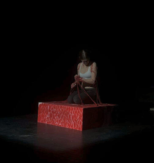 Performance photo 3