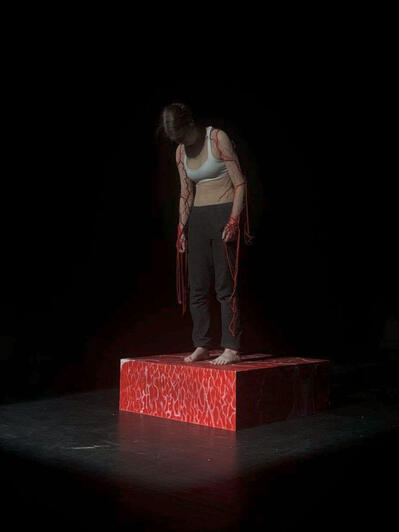 Performance photo 6
