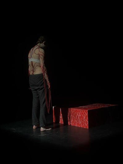 Performance photo 7