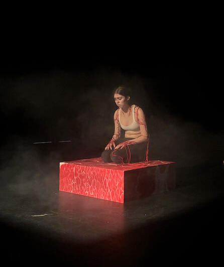 Performance photo 1