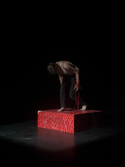 Performance photo 4