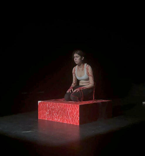 Performance photo 2